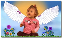 Baby in Bliss DVD