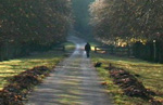 path